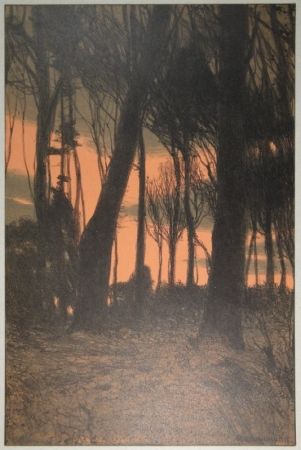 Lithographie Kampmann - Abendröthe (Bäume im Abendrot)