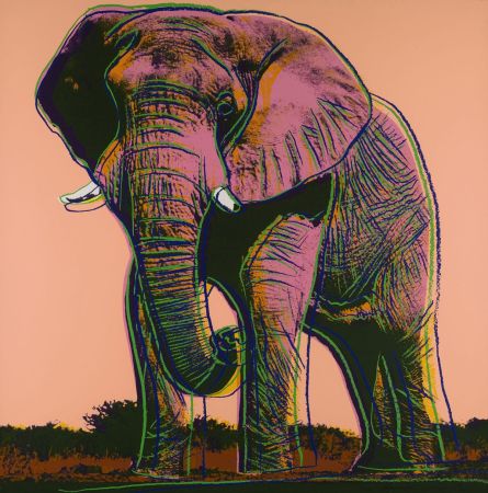 Sérigraphie Warhol - African Elephant (FS II.293)