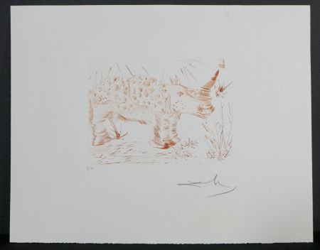 Gravure Dali - Album Rhinoceros