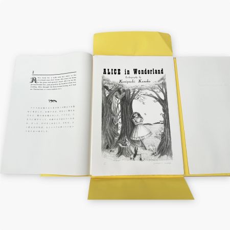 Lithographie Kaneko - Alice in Wonderland (Complete set of 12 lithographs)