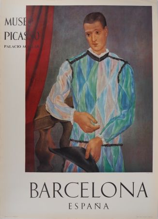 Livre Illustré Picasso - Arlequin
