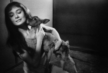 Photographie Willoughby - Audrey Hepburn and deer
