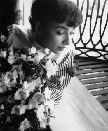 Photographie Willoughby - Audrey Hepburn window