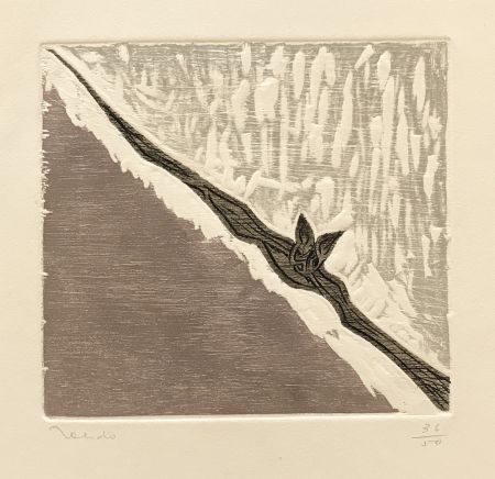 Gravure Toledo - Bat in Flight