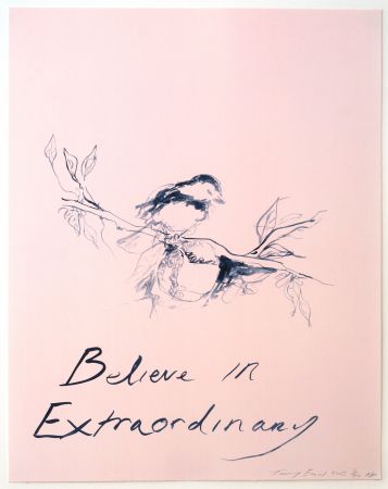 Lithographie Emin - Believe in Extraordinary