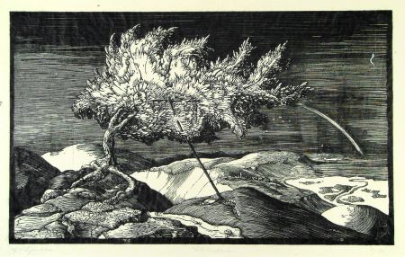 Gravure Sur Bois Schönleber - Blütenbaum im Donautal (Flowering tree in the Danube valley)