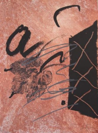 Eau-Forte Tàpies - BOIS DES CERFS (Libro)