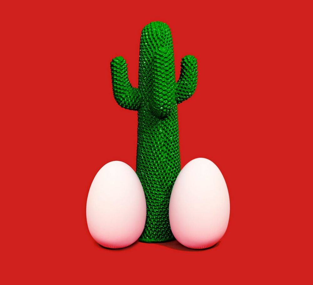 Aucune Technique Cattelan - Cactus God