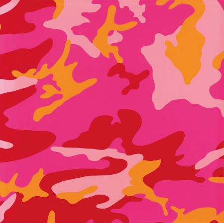 Sérigraphie Warhol - Camouflage FS II.408
