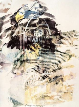 Multiple Rauschenberg - Caucus