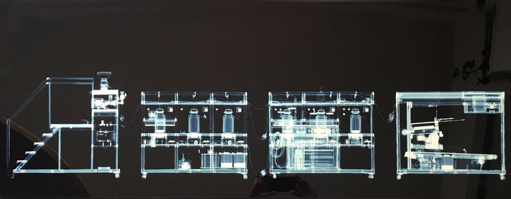 Multiple Delvoye - Cloaca x rayed B/W