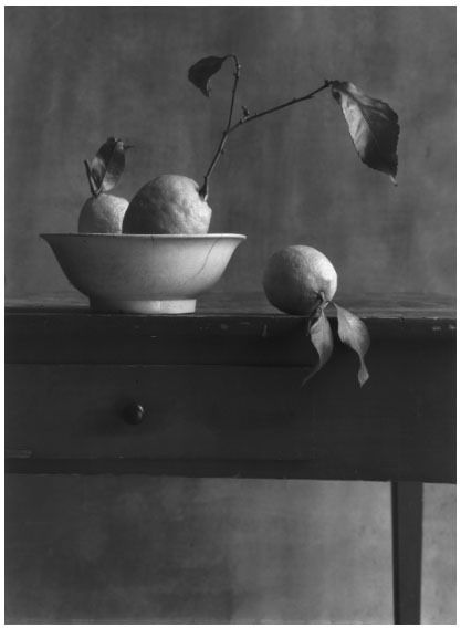 Photographie Anonyme - COIGNY Christian (1946).  Nature morte aux citrons