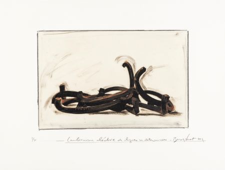 Lithographie Venet - Combinaison aléatoire de lignes indéterminées 6