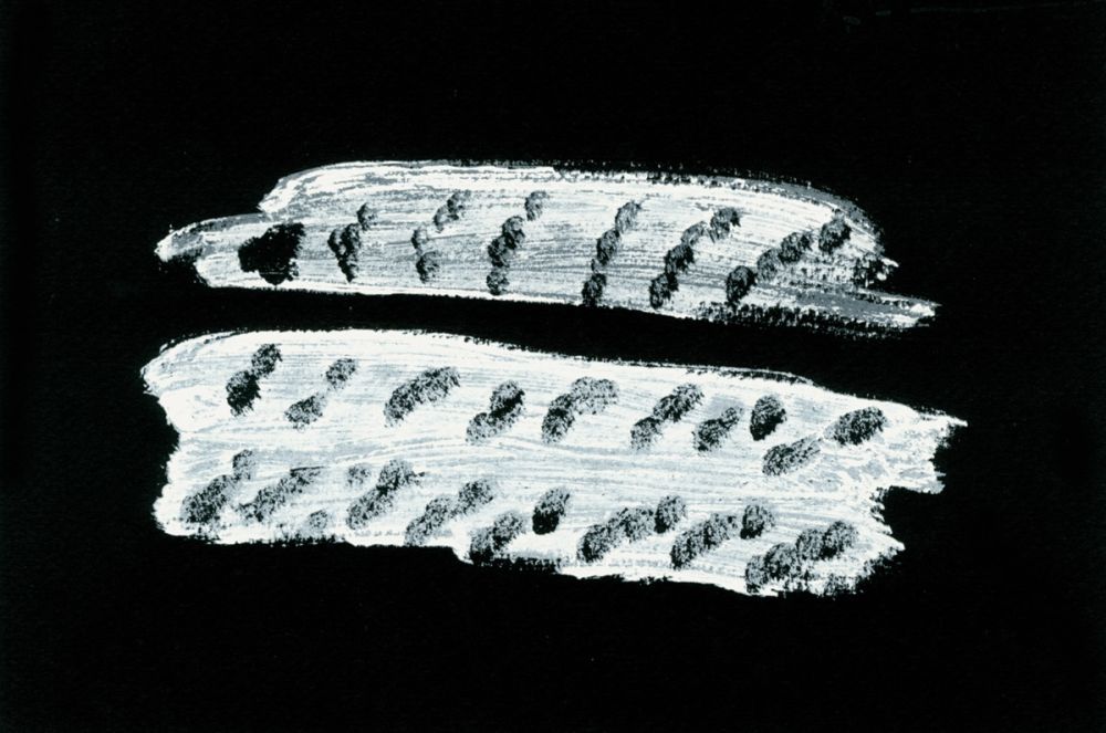 Livre Illustré Michaux - Comme un ensablement