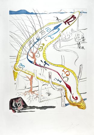 Gravure Dali - Conquest of Cosmos Frozen Watches of Space Time