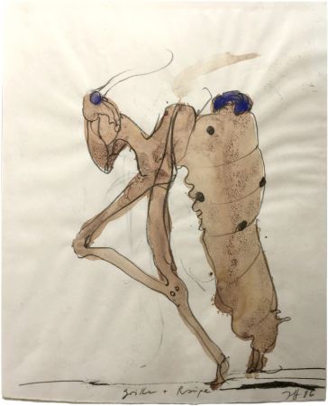 Aucune Technique Janssen - Cricket