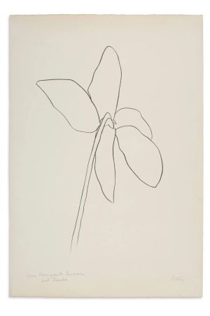 Lithographie Kelly - Cyclamen IV, 1964-1965