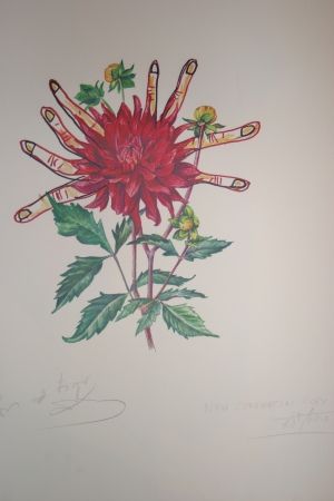 Lithographie Dali - Dahlias of Dalí (surrealistic flowers)