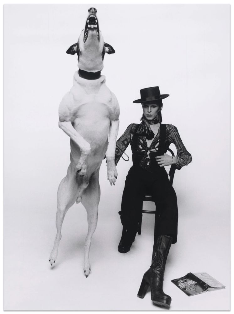 Photographie O'neil - David Bowie, Diamond Dogs London