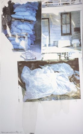 Sérigraphie Rauschenberg - Daydream (Speculations)