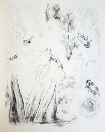 Livre Illustré Levy - De la nature (De Rerum Natura)