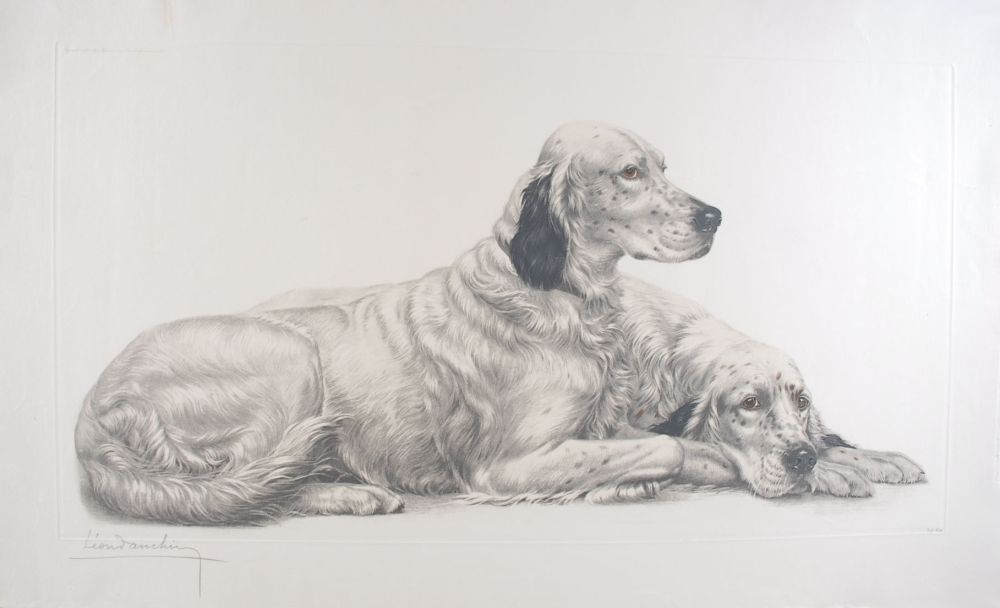 Gravure Danchin - Deux Setters couchés (Setters au repos) - Two English Setters at rest