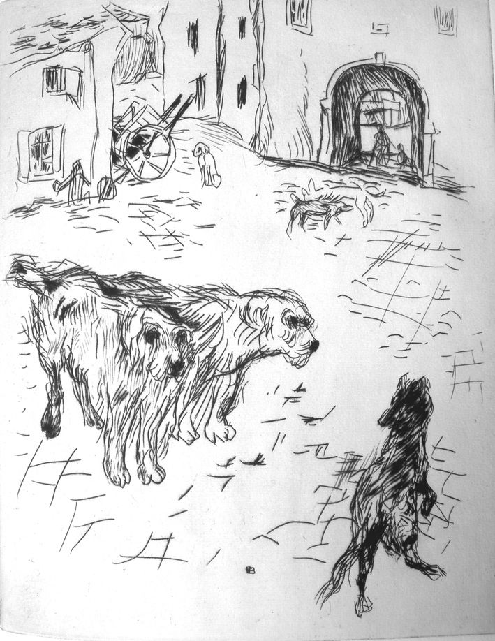 Livre Illustré Bonnard - Dingo