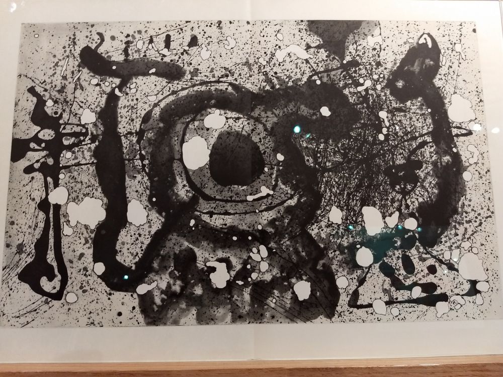 Livre Illustré Miró - DLM 121 122