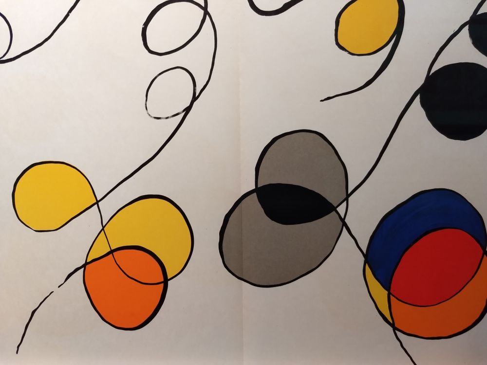 Livre Illustré Calder - DLM 173