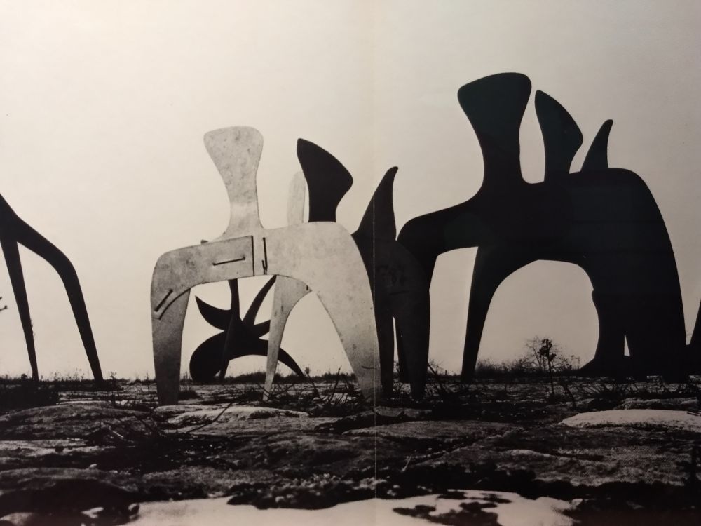 Livre Illustré Calder - DLM 190