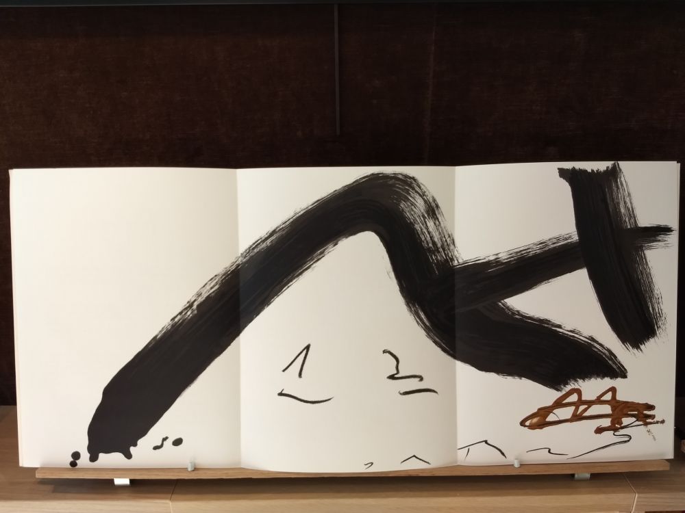 Livre Illustré Tàpies - Dlm 253