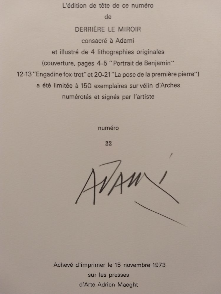 Livre Illustré Adami - Edition Tete DLM 206