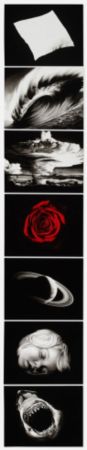 Multiple Longo - Essentials (from the Forty Are Better Than One series)