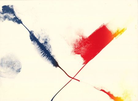 Lithographie Jenkins - Euphories de la couleur