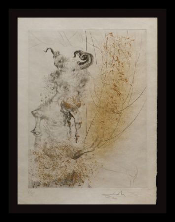 Gravure Dali - Faust Tete de Veau