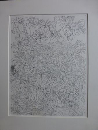Eau-Forte Szafran - Feuillages ,1977