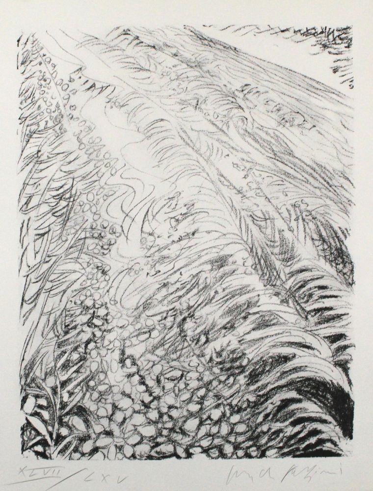 Lithographie Fazzini - Field