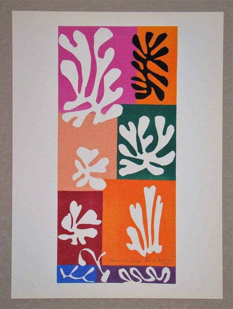 Lithographie Matisse (After) - Fleur De Neige - 1951