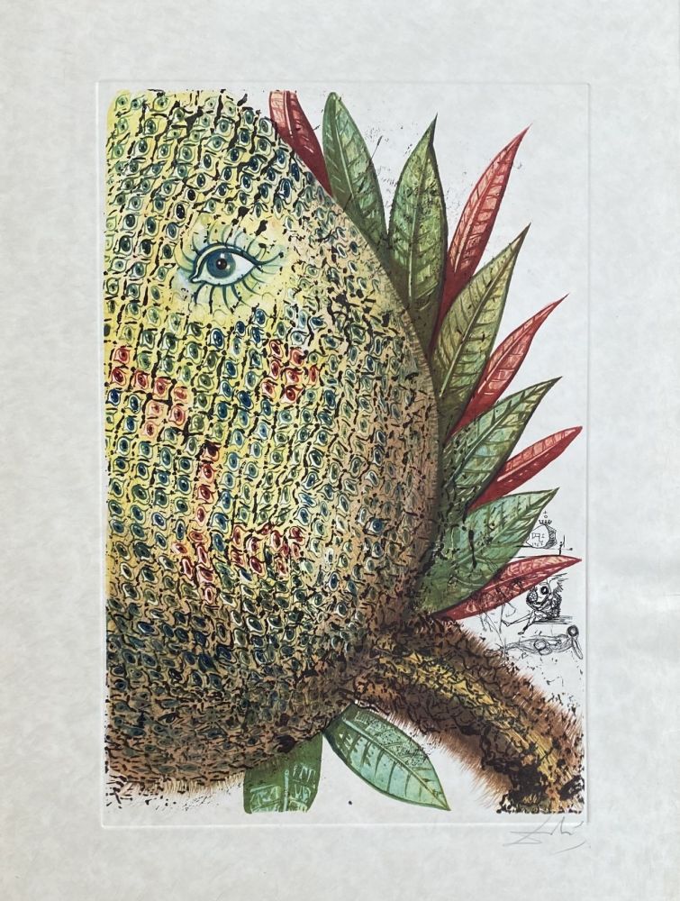 Gravure Dali - Fleurs rêvées : Ananas