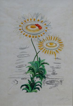 Gravure Dali - Flora Dalinae Chrysanthemum