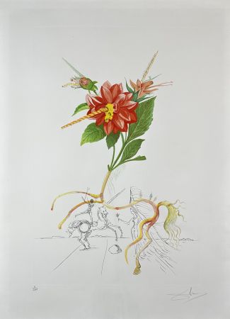Gravure Dali - Flora Dalinae Dahlia Unicorns