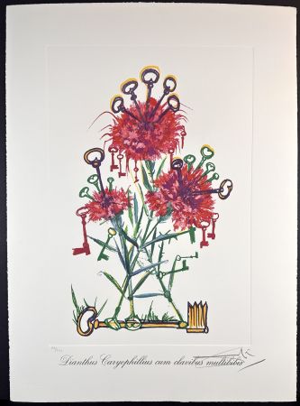 Gravure Dali - Florals Carnation Keys