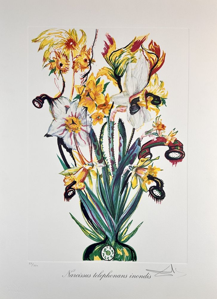 Gravure Dali - Florals Daffodils of Love