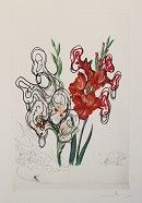 Lithographie Dali -  Florals; Gladiolus [ + EARS ] Custa Brava 1972