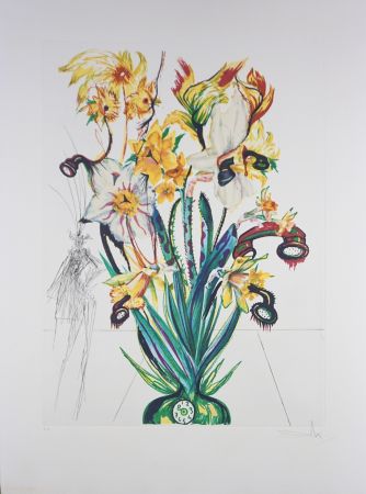 Gravure Dali - Florals Narcissus (Phones) Andalou