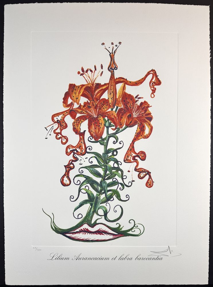 Gravure Dali - Florals Tiger Lilies of The Theatre