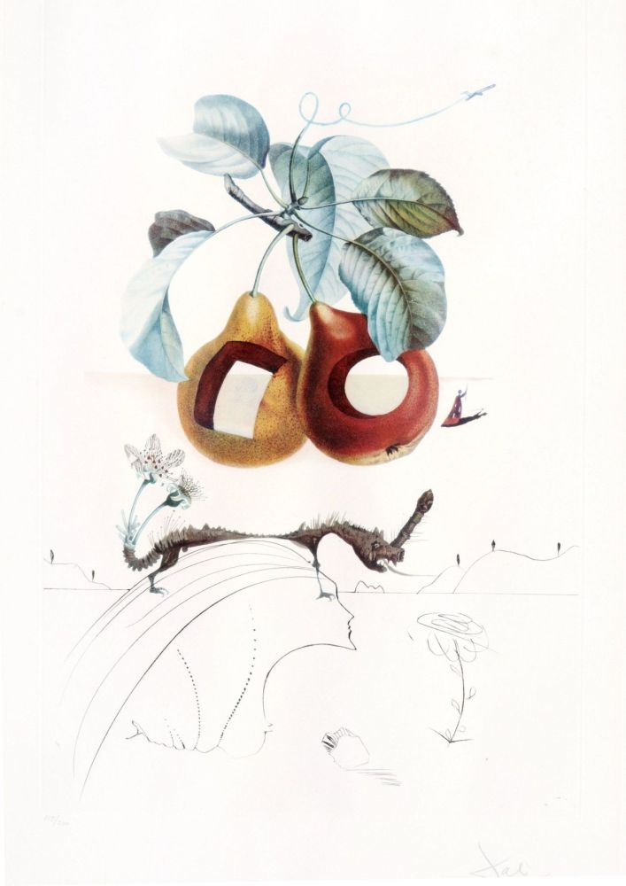 Gravure Dali - Flordali - Fruits Troués