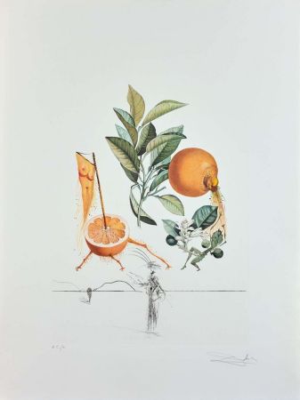 Gravure Dali - Flordali - Pamplemousse Erotique