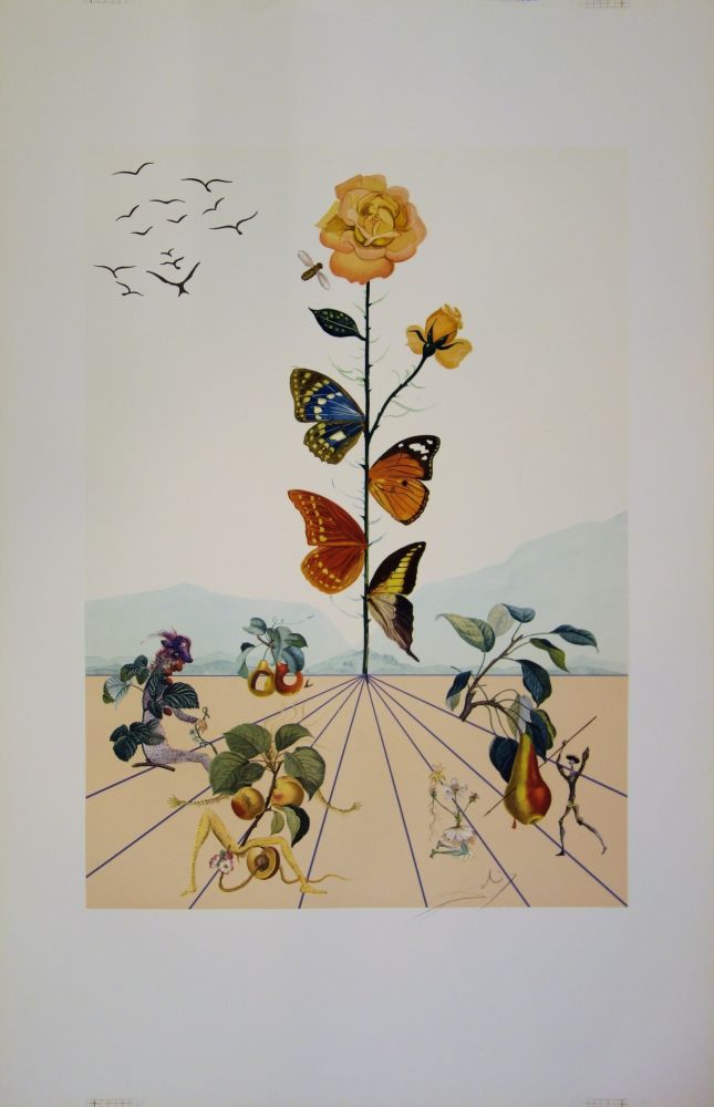 Lithographie Dali - Flordali II - La rose papillon