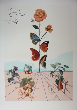 Lithographie Dali - Flordali II - La rose papillon